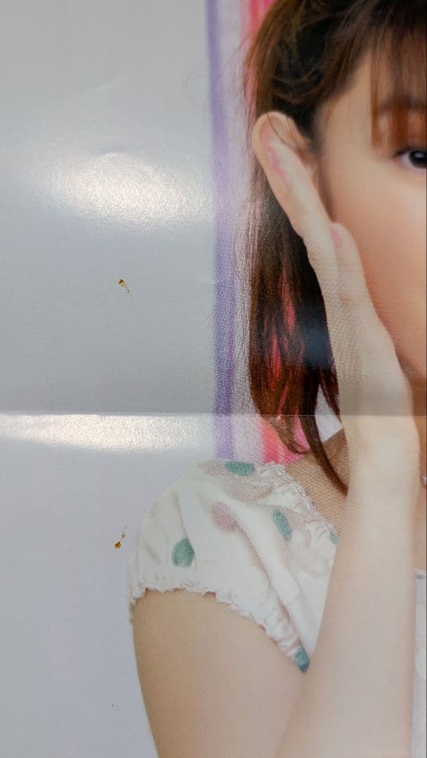 声優アニメディア VOL.04 田村ゆかり 特大ポスター付 - メルカリ