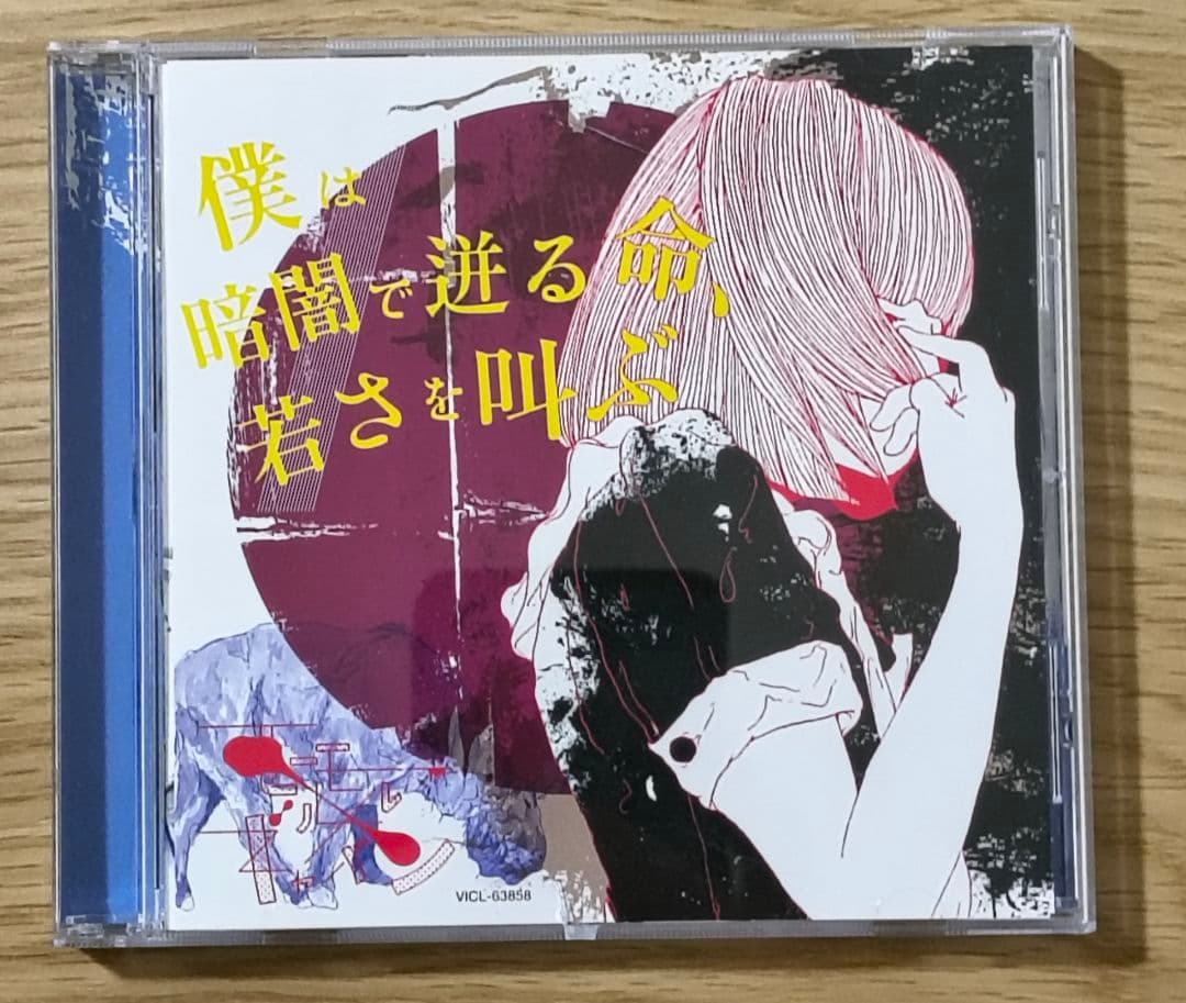 モーモールルギャバン アルバム CD 僕は暗闇で迸る命、若さを叫ぶ 美品