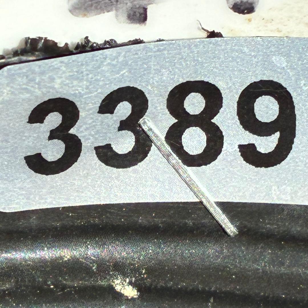 u*0様 ☘️蕾付☘️タグ付⭐️3389⭐️ASHWOODIENSIS⭐️BRI