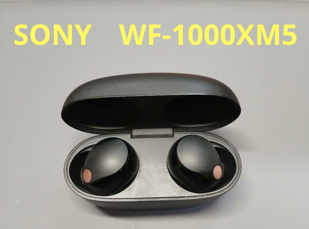 SONY　WF-1000XM5　ワイヤレス　ノイズキャンセリング　イヤホン SONY WF-1000XM5 価格比較 - 価格.com