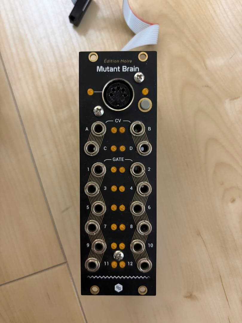 Hexinverter Mutant Brain モジュラーシンセ - メルカリ