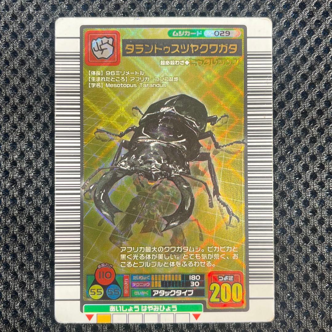 ムシキング タランドゥスツヤクワガタ ヒャクレツケン 2003 029 - メルカリ
