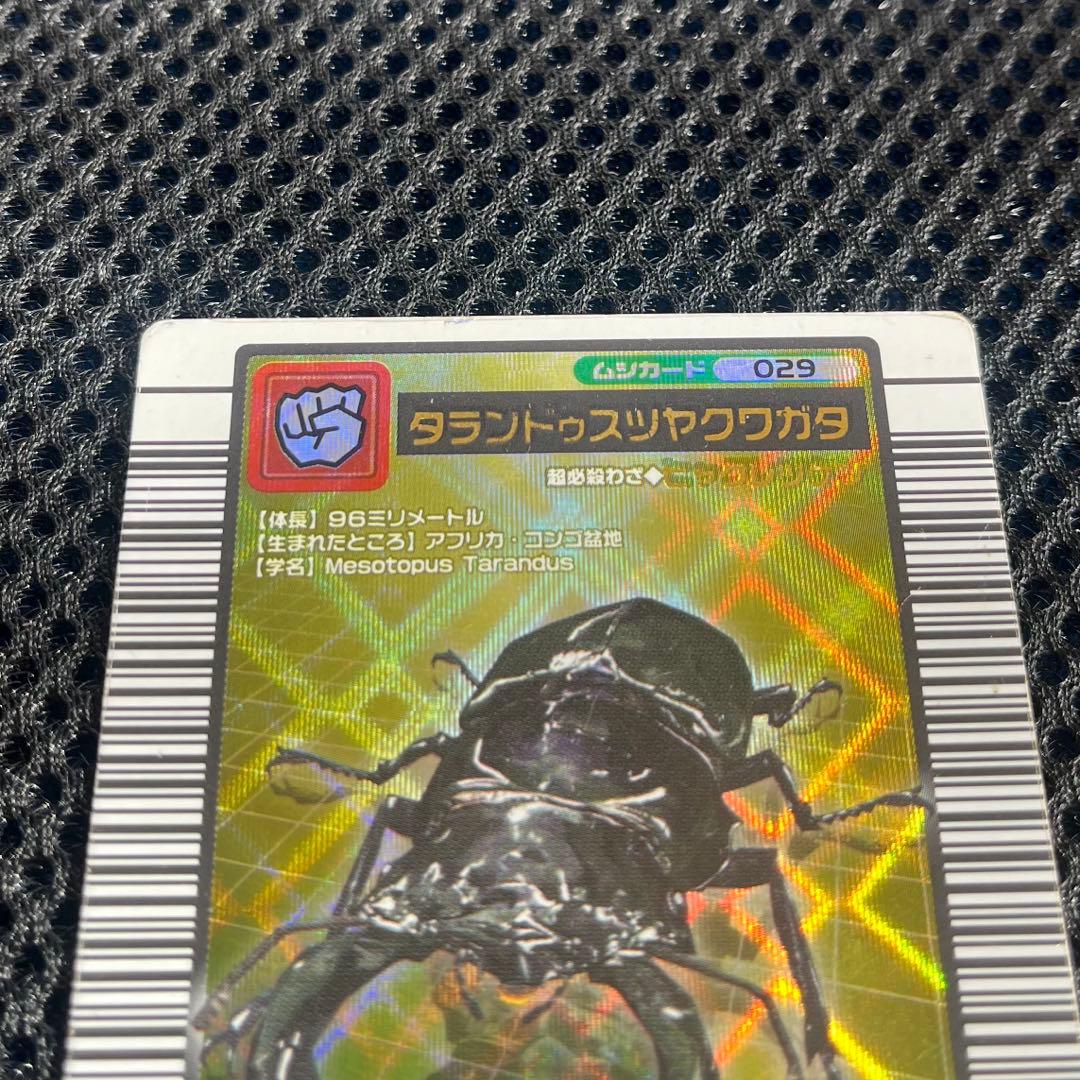 ムシキング タランドゥスツヤクワガタ ヒャクレツケン 2003 029 - メルカリ