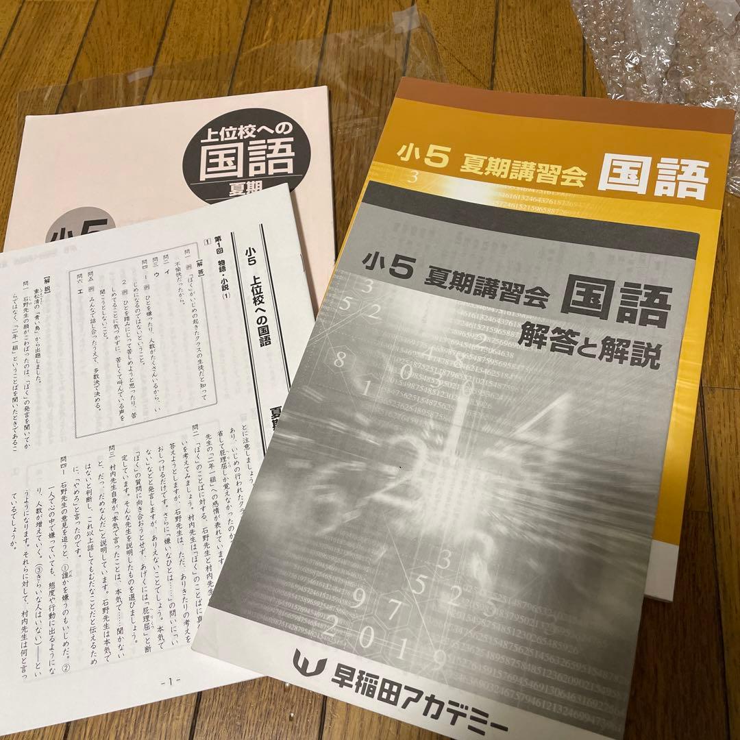 早稲田アカデミー 国語 夏期講習 テキスト 小5 5年 2冊セット - メルカリ