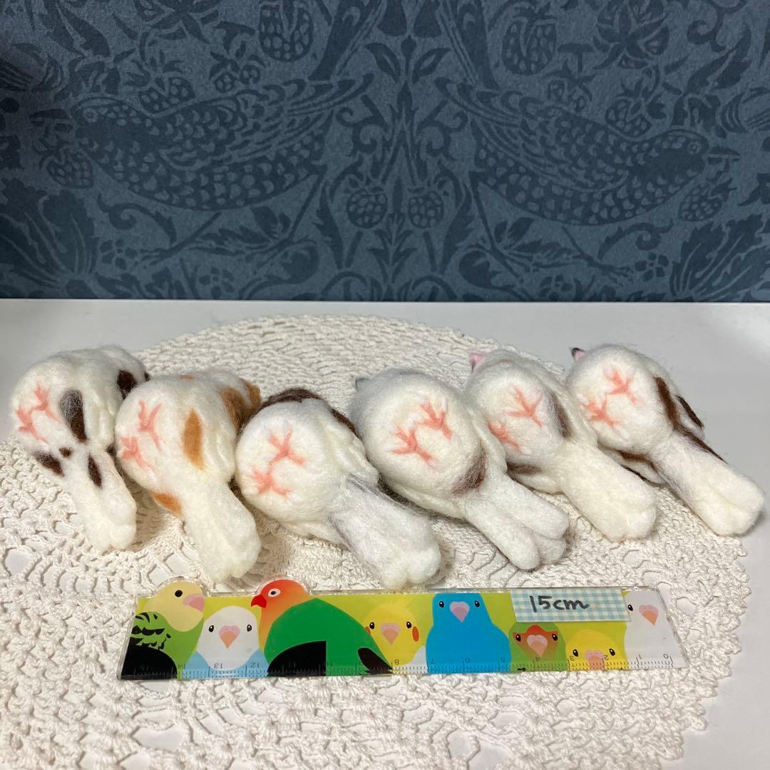 リクエストNO.2610☆十姉妹☆実物大☆6点セット