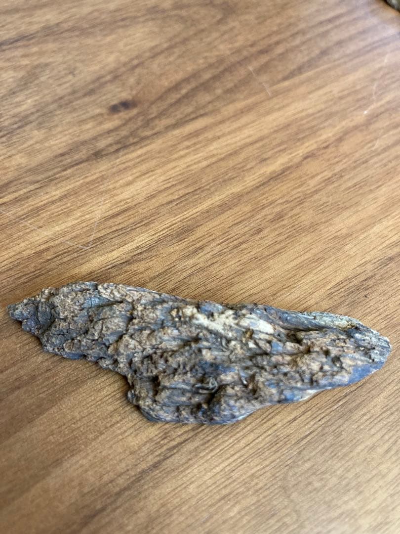 香木 沈香　シャム　5.1g