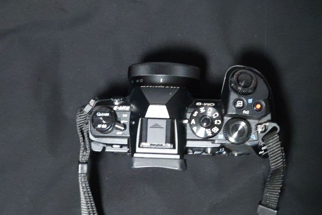 OLYMPUS OM-D E-M1 Mark II 標準ズーム、バッテリーセット