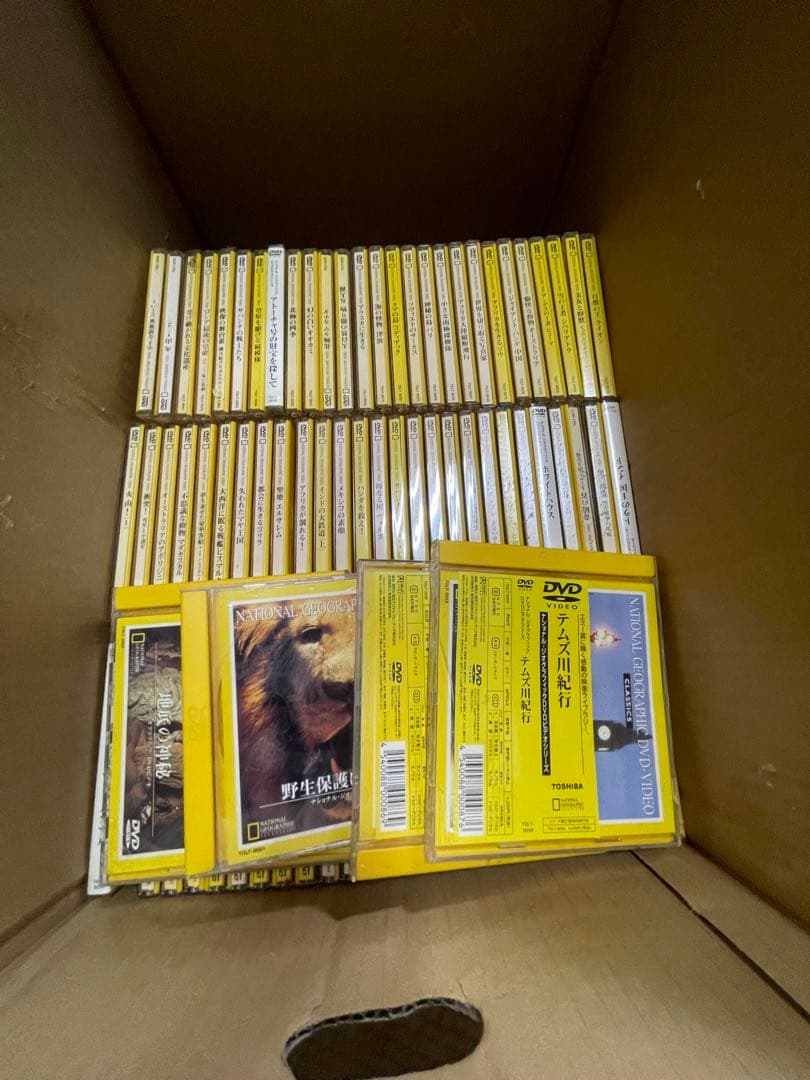 ポ*グ様 野生動物・ナショナルジオグラフィック DVDセットほぼ揃ってます2枚ほ ヒョウ (ナショナルジオグラフィック 動物大せっきん) | デレック
