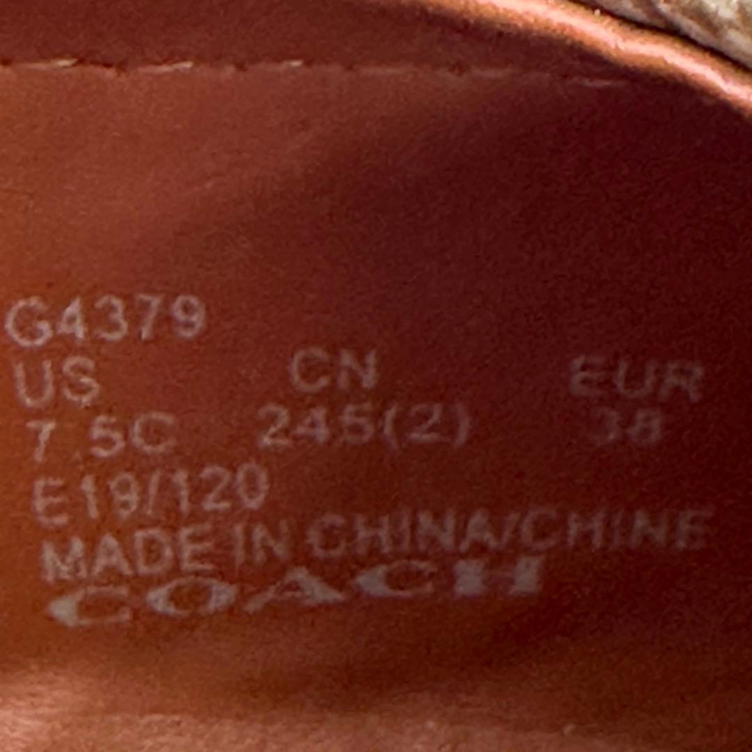 〈新品〉COACH コーチ【24.5cm】シグネチャー コンビ フラットシューズ