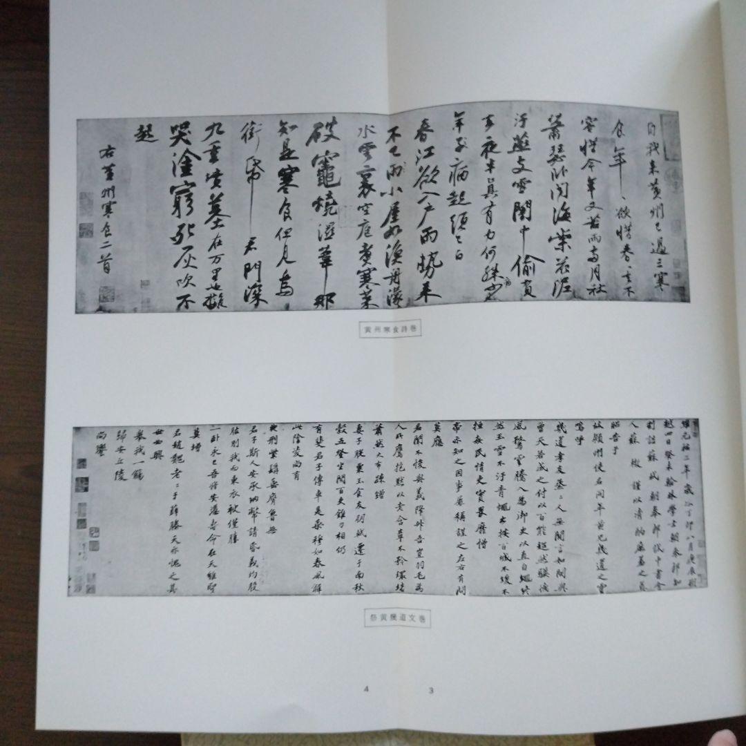 値下げ】宋 蘇東坡 黄州寒食詩巻 二玄社 絶版 - メルカリ