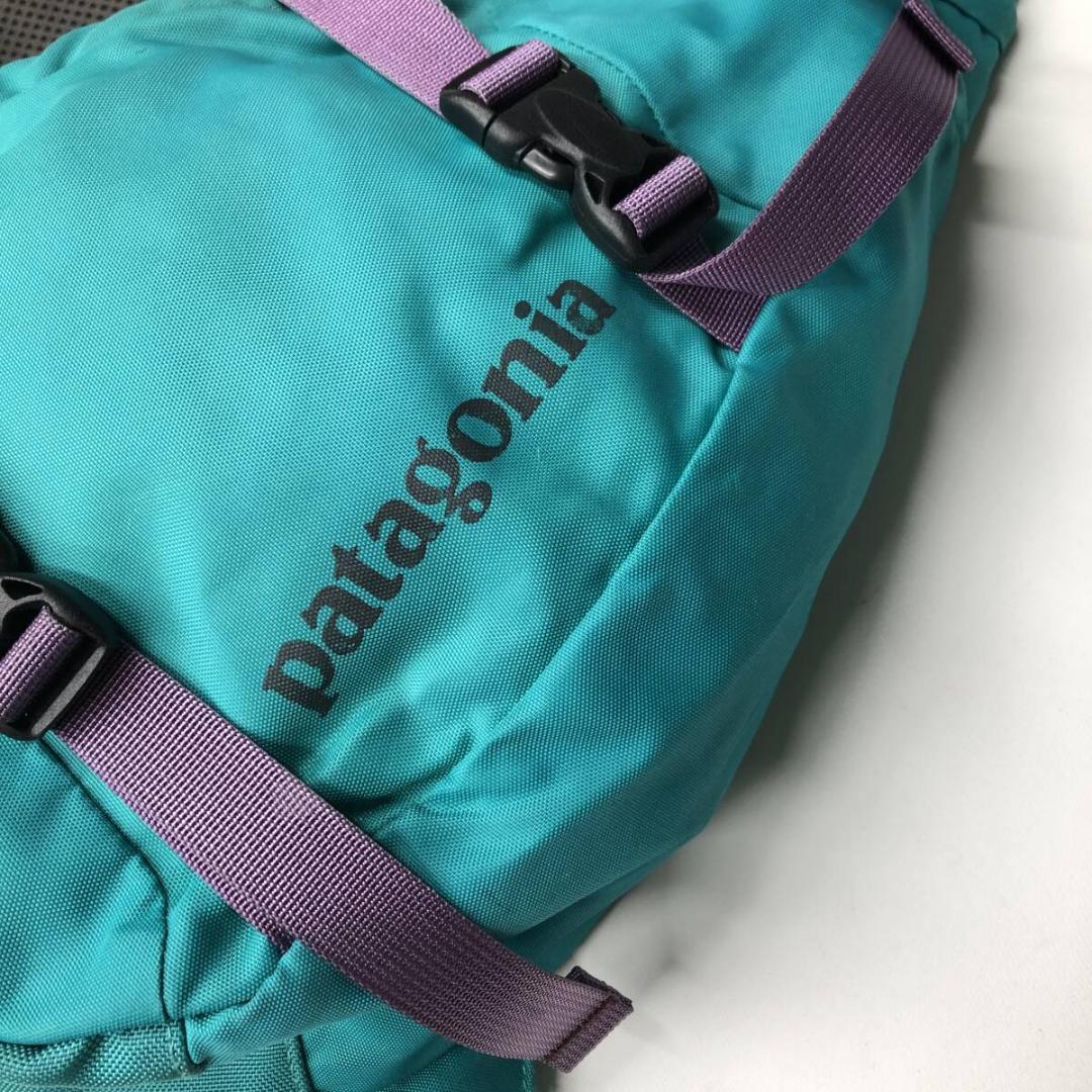 パタゴニア アトムスリングバッグ 廃盤希少品 梨花 48259SP13 - メルカリ