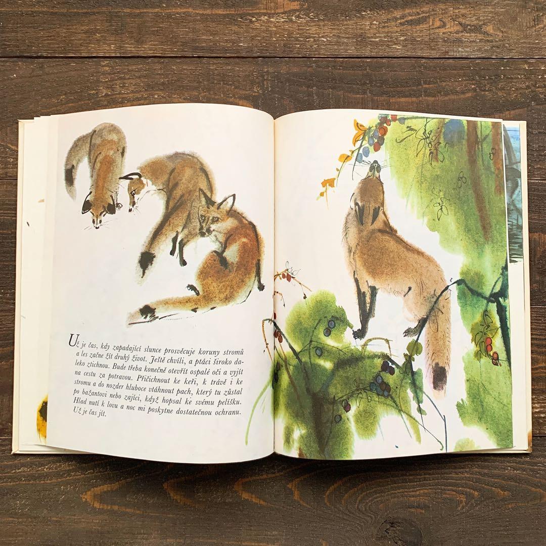 ミルコ・ハナークの古い絵本(1984年)/チェコ絵本 チェコ雑貨 東欧絵本