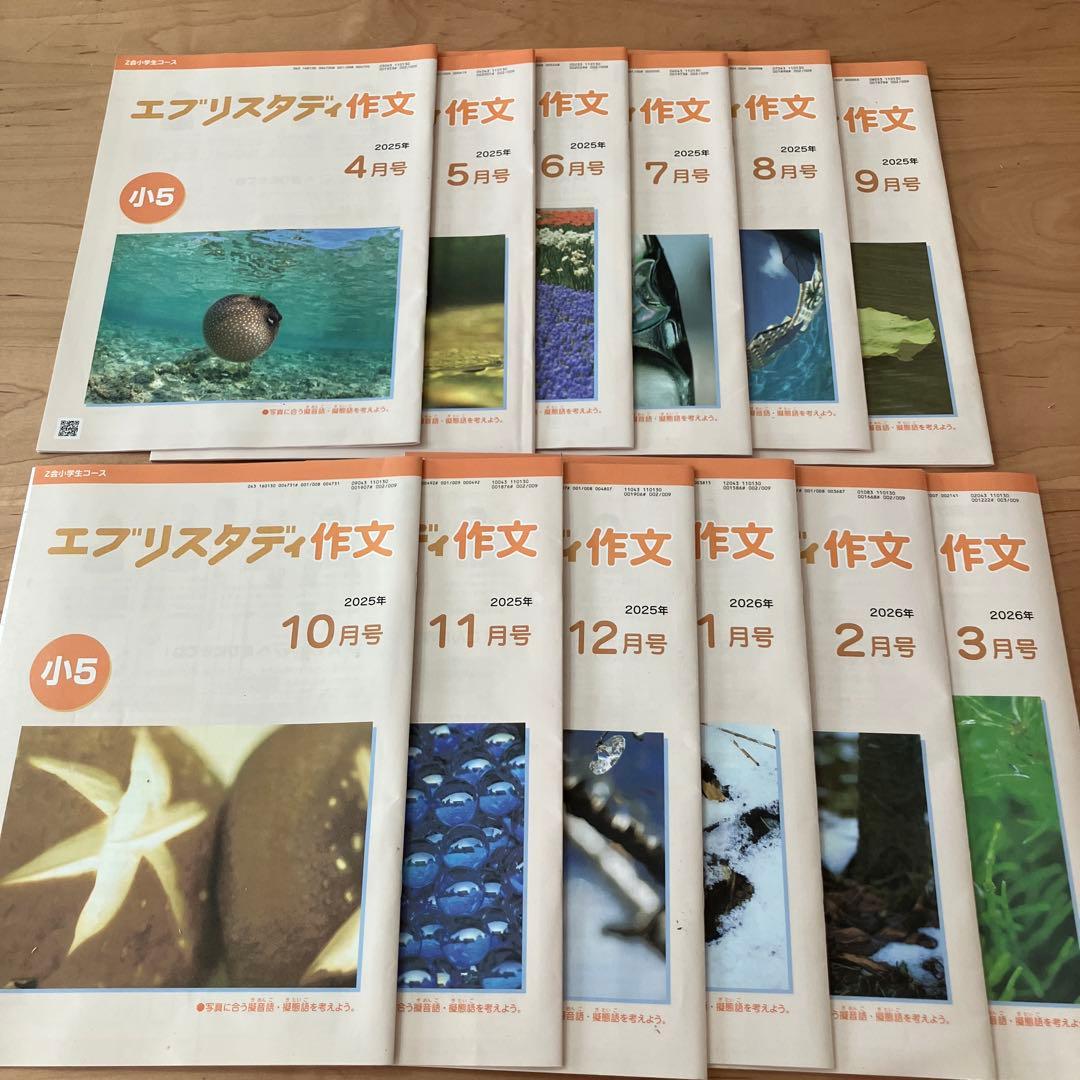 Z会 エブリスタディ 小5 公立中高一貫校適性検査 作文 1年分 問題集
