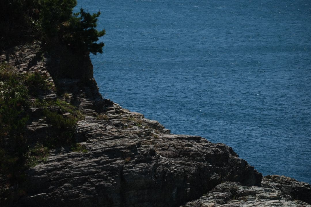 レンズ(ズーム) xf55-200 f3.5-4.8