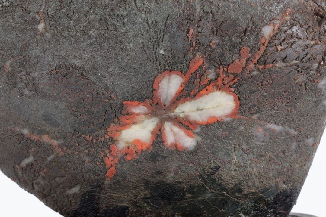 菊花石 菊紋石 1.1kg 台座・木箱付 鑑賞石 原石 水石 盆石 飾石 美石