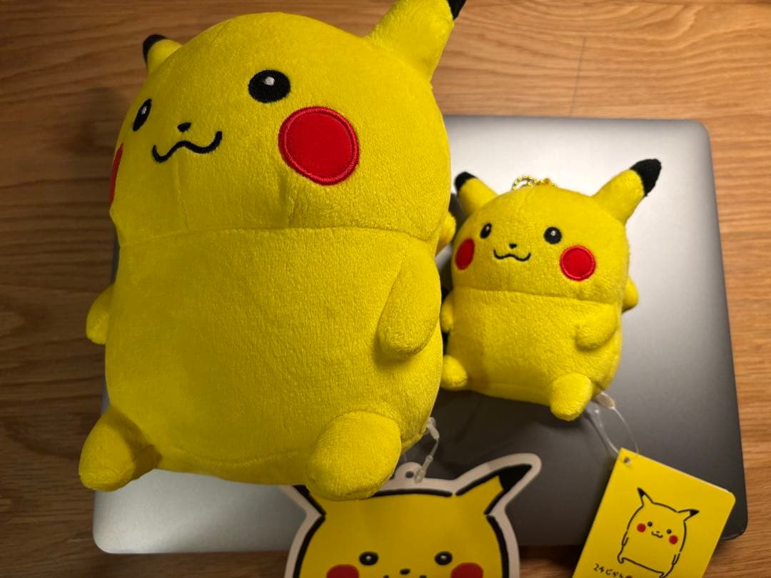 24じかんポケモンCHU ぬいぐるみ&マスコット ピカチュウ Amazon.co.jp: ポケモンセンターオリジナル ぬいぐるみ 24じかん