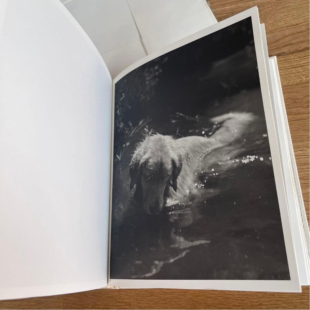BEAR POND Bruce Weber 初版本 1990年 写真集 希少本 - メルカリ