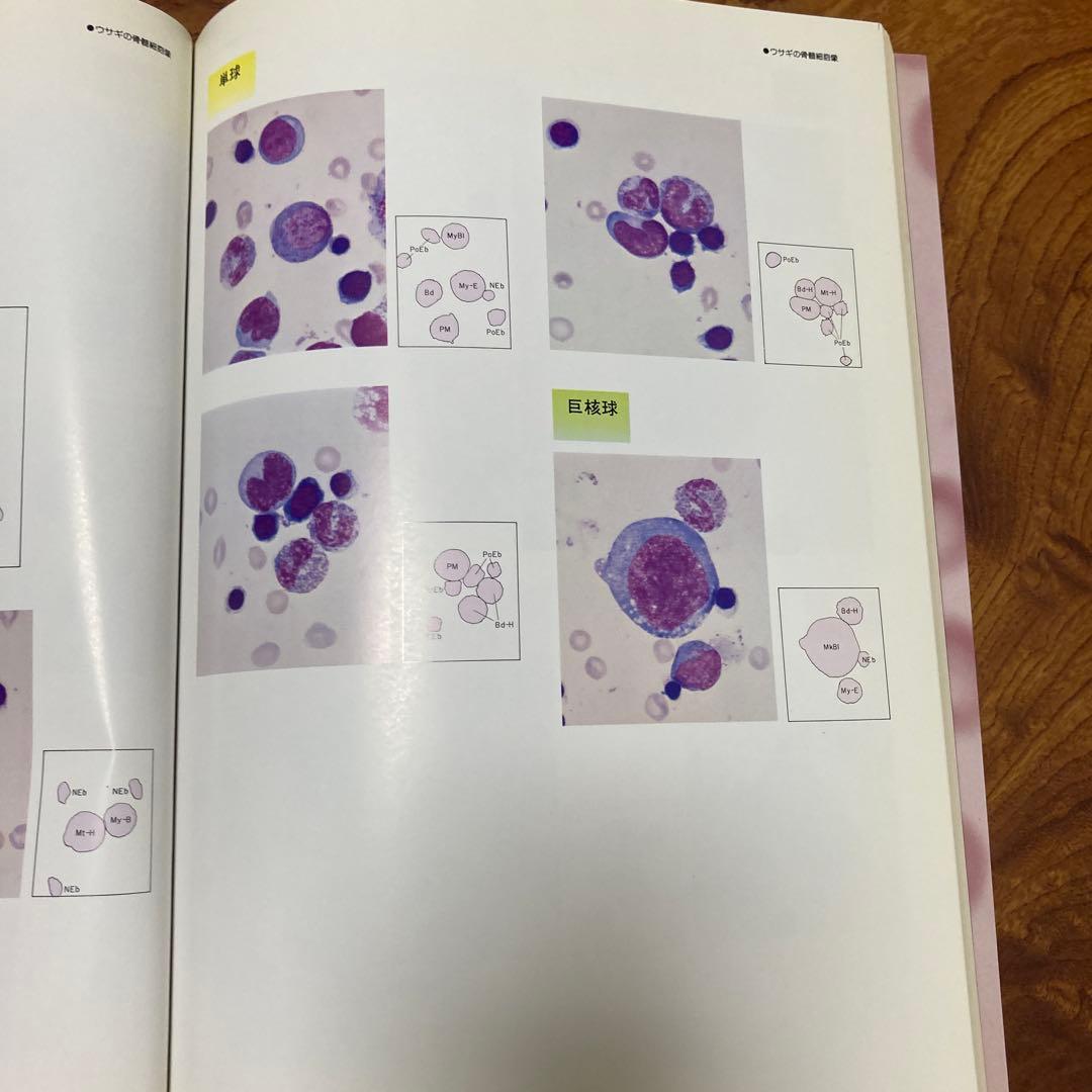 家畜血液図説 チクサン出版