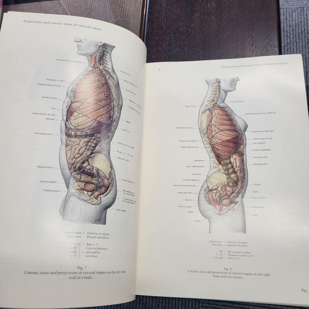 ペルンコップ臨床局所解剖学アトラス 第2巻 - メルカリ