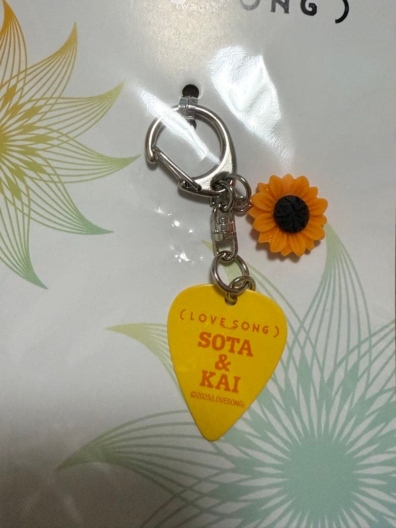 映画 LOVE SONG ピックキーホルダー ラブソング向井康二 森崎ウィン