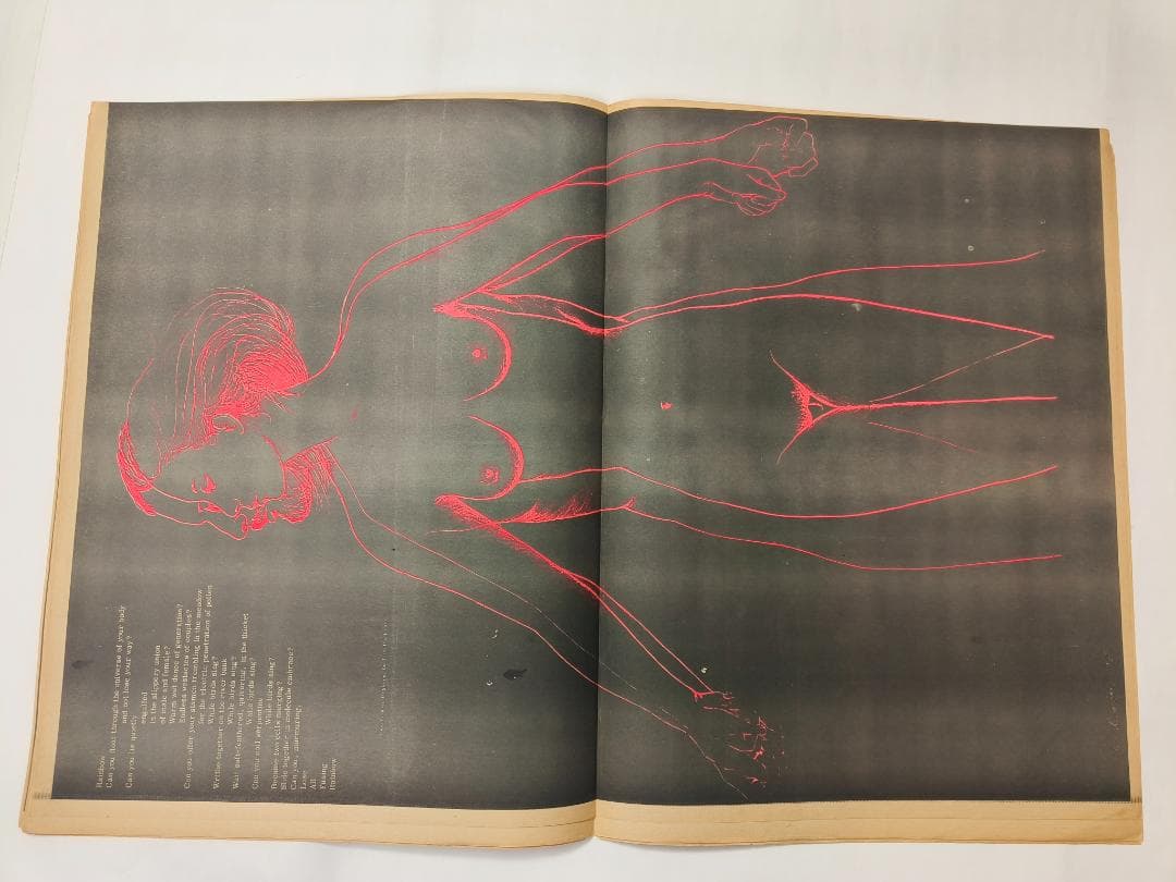 oracle オラクル1967年 ヒッピー サイケ アングラ 新聞紙 - メルカリ