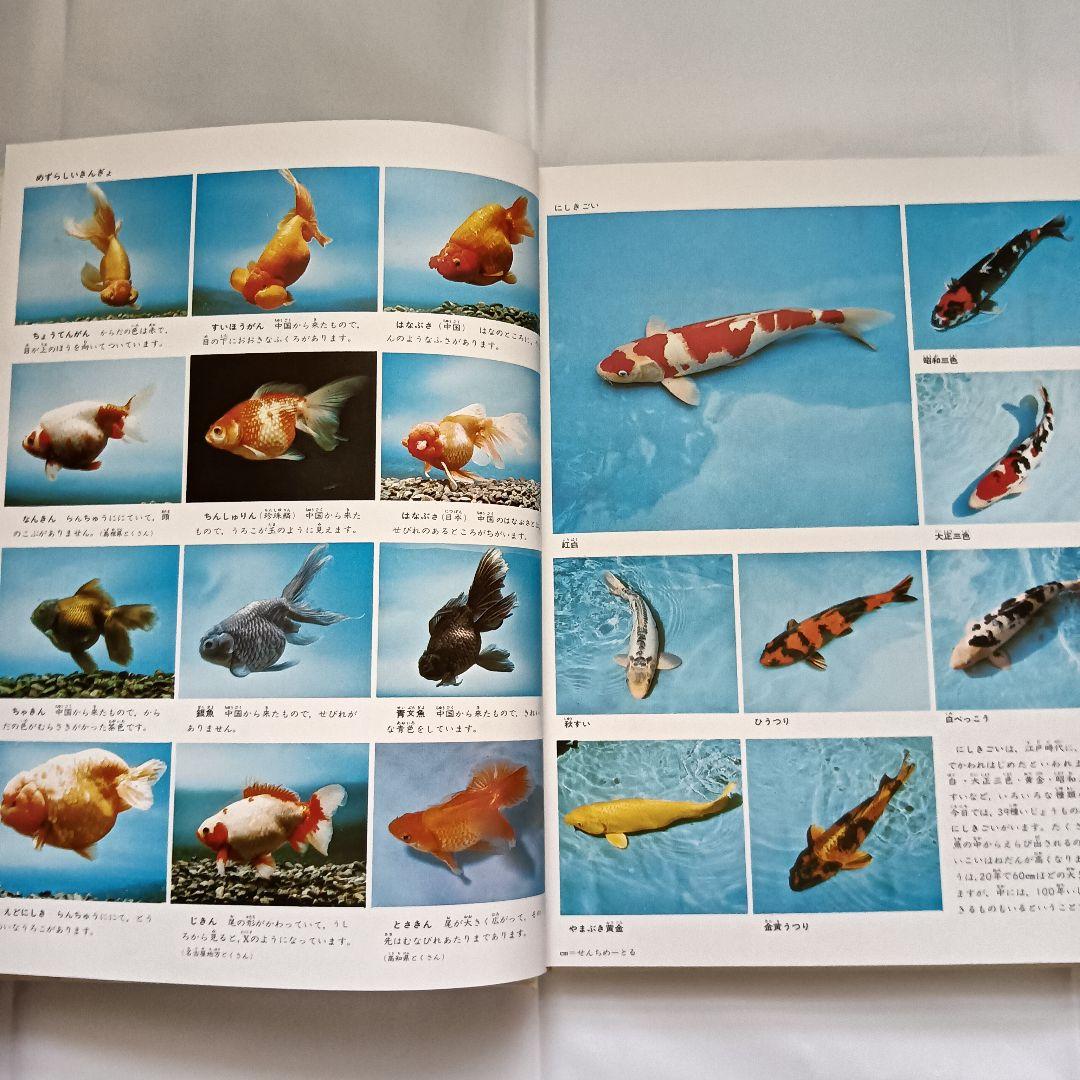 講談社 こどもカラー図鑑 全13巻セット 昭和レトロ - メルカリ