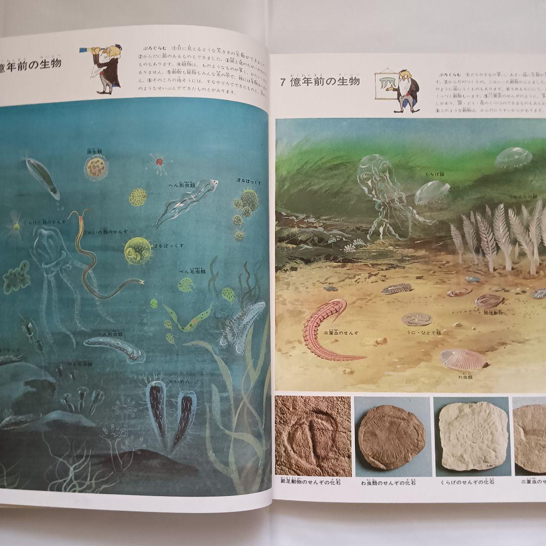 講談社 こどもカラー図鑑 全13巻セット 昭和レトロ - メルカリ