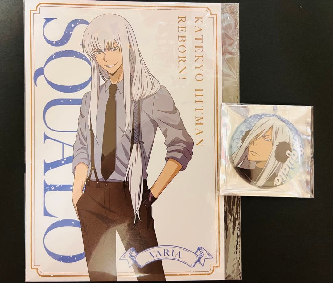 家庭教師ヒットマンREBORN! The cat A5ポストカード スクアーロ - メルカリ