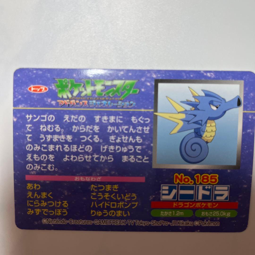 ポケモンアニメ版トップサン シードラ アドバンスジェネレーション