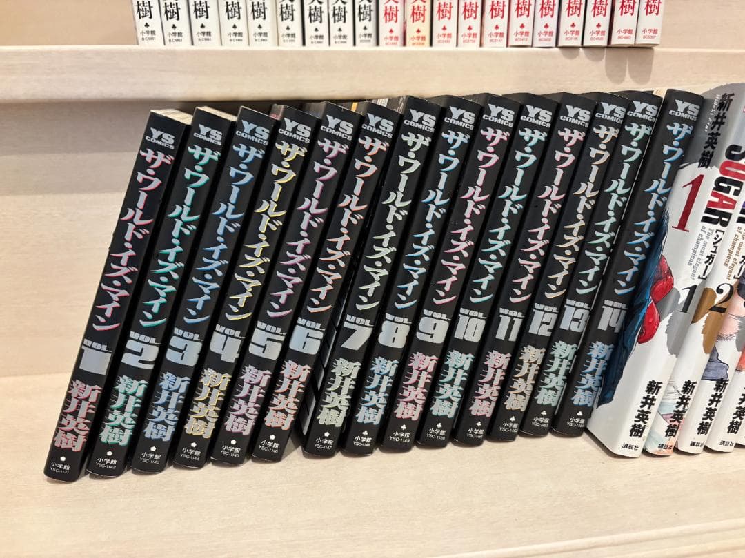 新井英樹 8作全巻 ワールドイズマイン 愛しのアイリーン キーチ