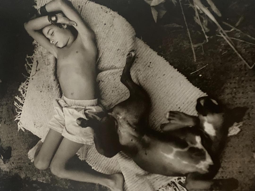 サリーマン写真集 - メルカリ