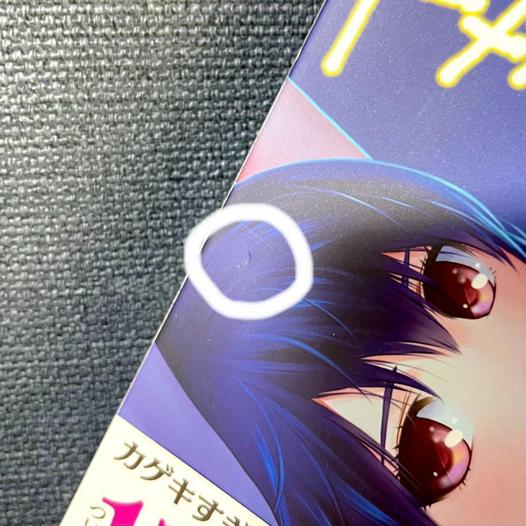 ドメスティックな彼女　全巻セット