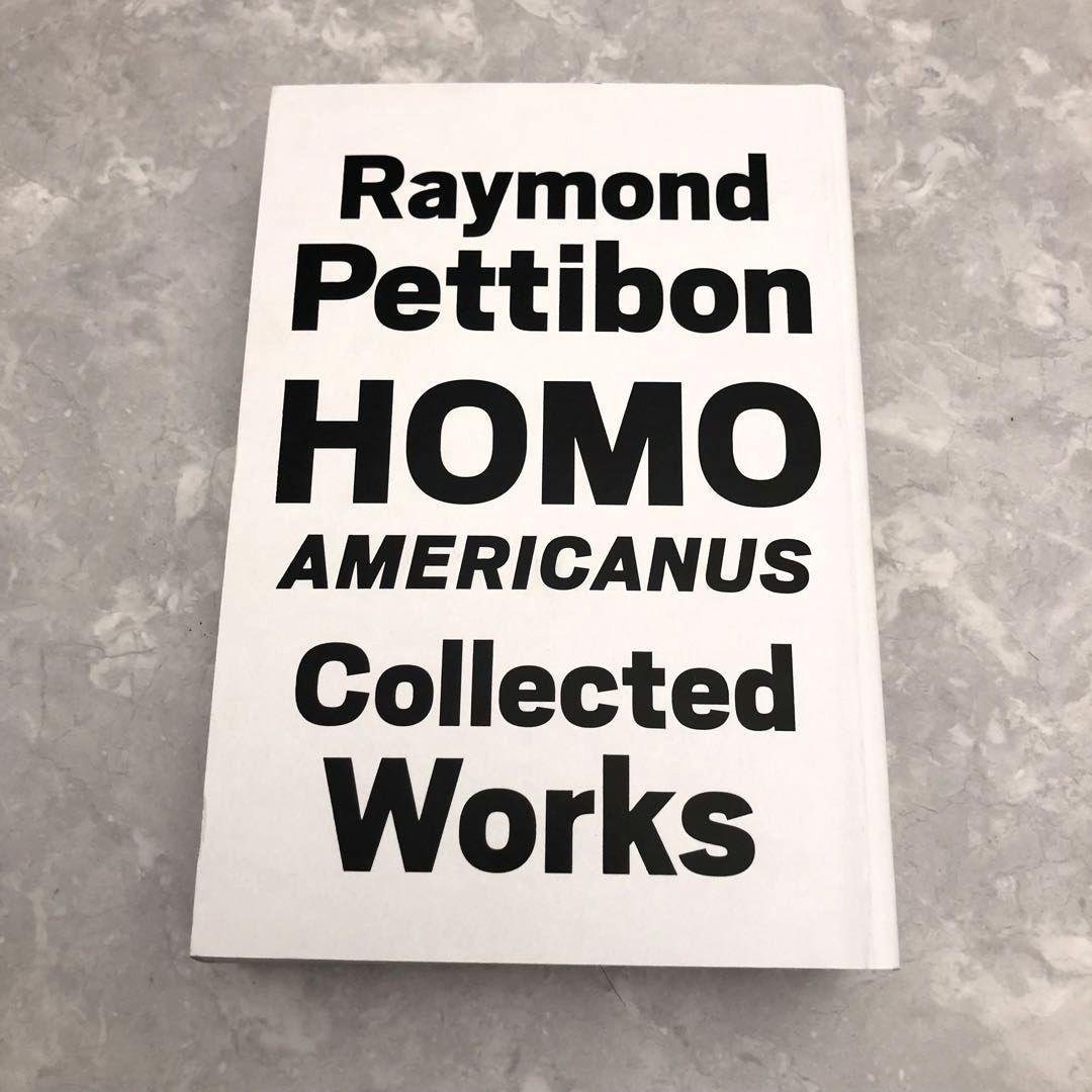 ☆美品☆Raymond Pettibon アートブック イラスト ハードコア