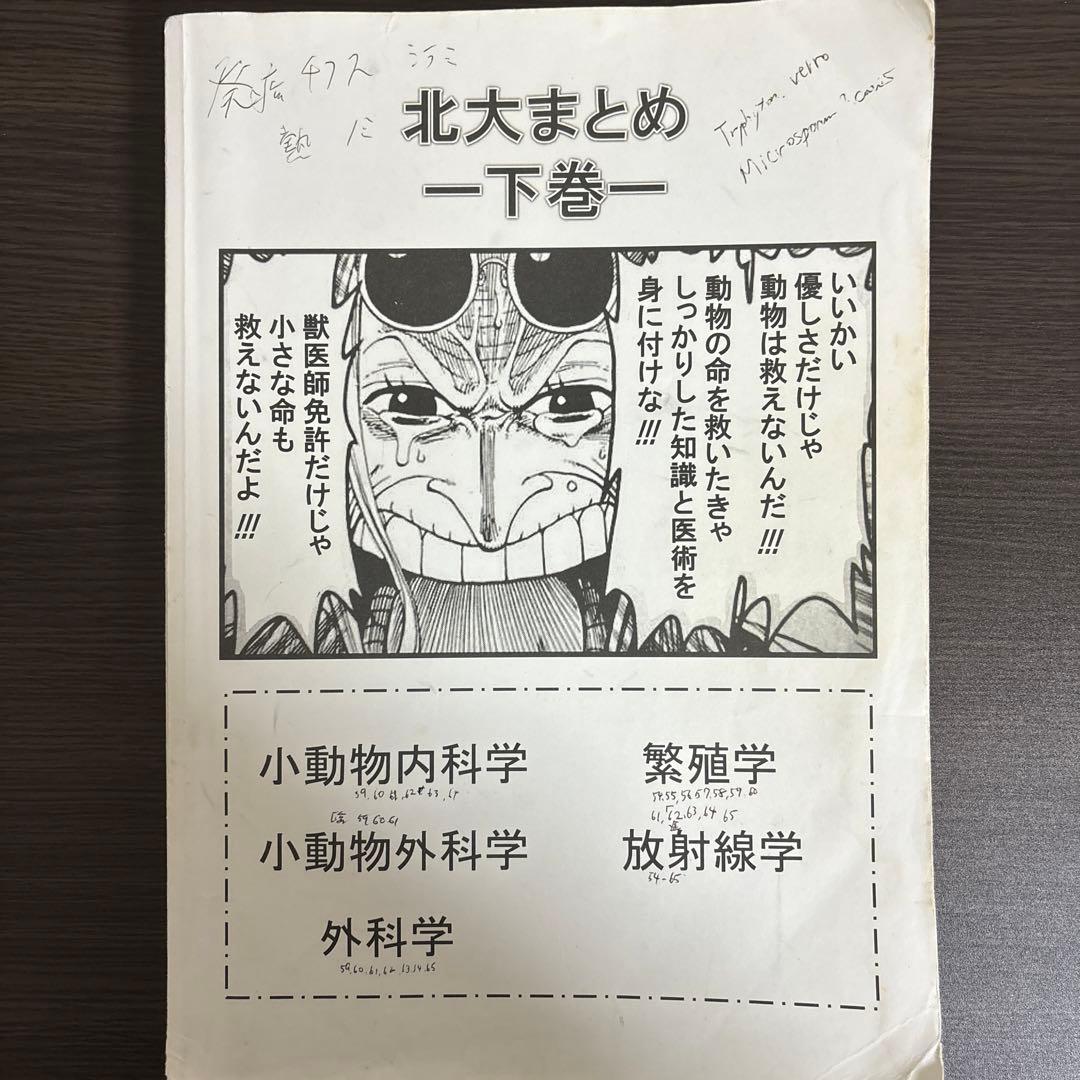 北大まとめ 上中下3冊セット 平成28年度獣医師国家試験対策本 - メルカリ