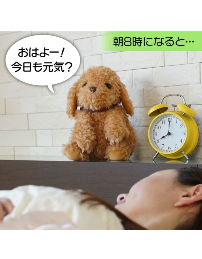 大人向け 音声認識 ぬいぐるみ 【 おしゃべりトイプードル] - メルカリ