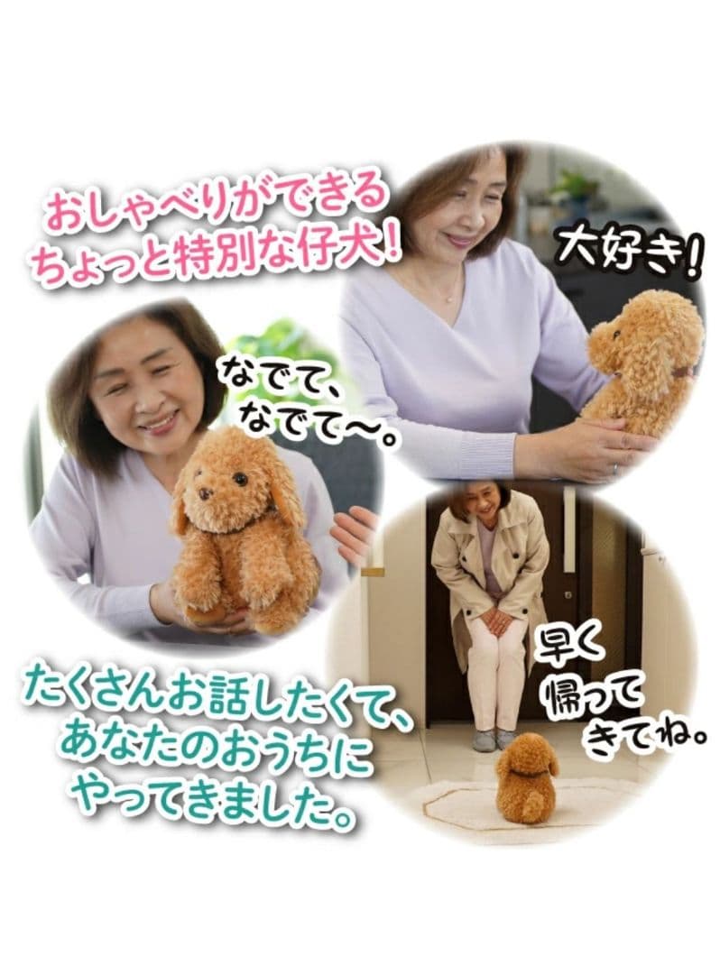 大人向け 音声認識 ぬいぐるみ 【 おしゃべりトイプードル] - メルカリ