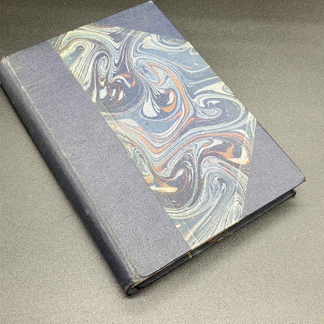 藤田嗣治 1929年初版 モンパルナスの芸術家たち 挿絵本 フランス語