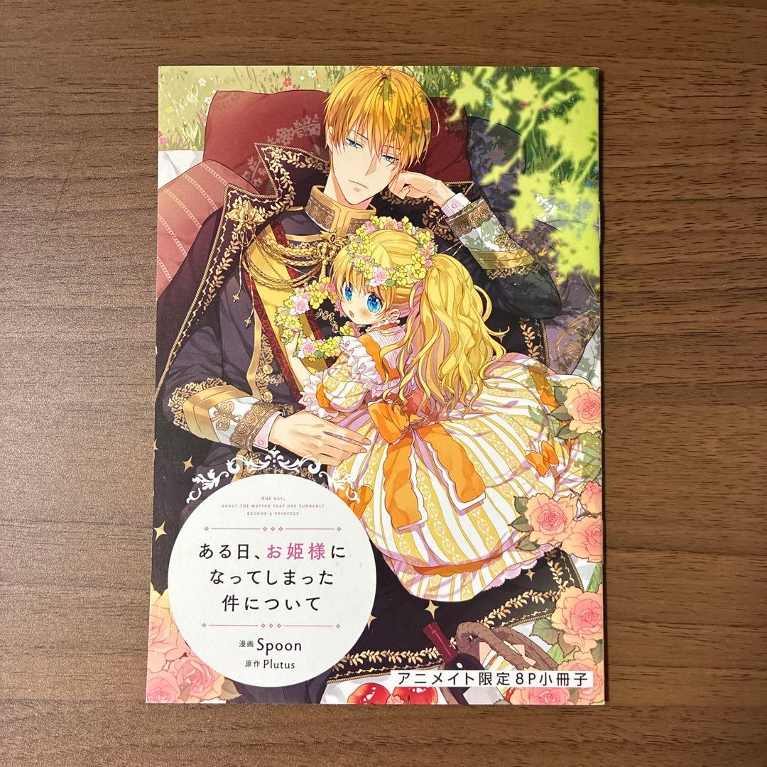 ある日、お姫様になってしまった件について　全13巻セット【完結】