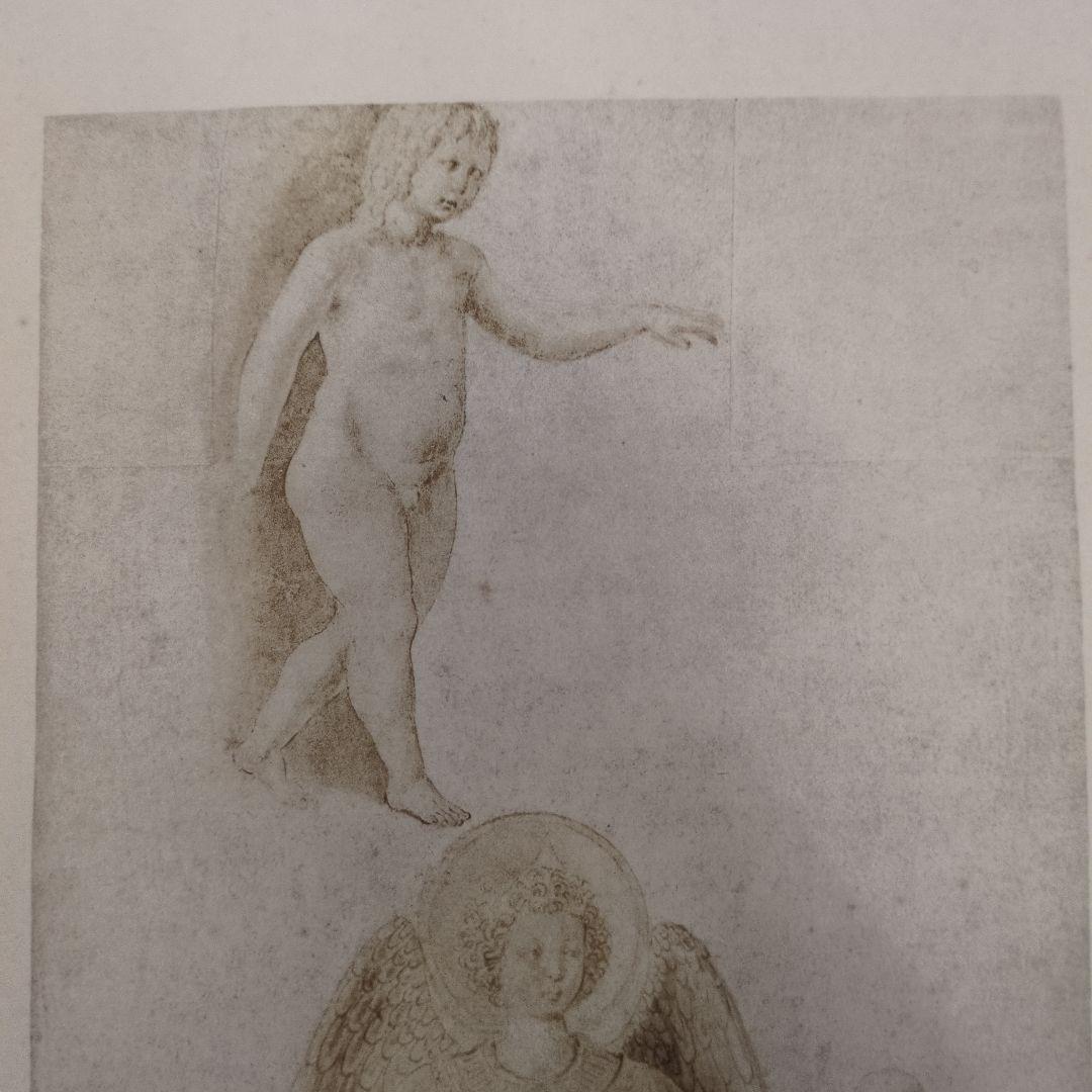 世界史的名著！ バーナード・ベレンソンのフィレンツェ派の素描 第一巻