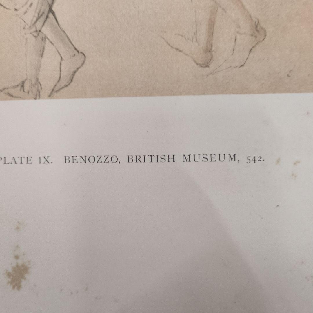 世界史的名著！ バーナード・ベレンソンのフィレンツェ派の素描 第一巻