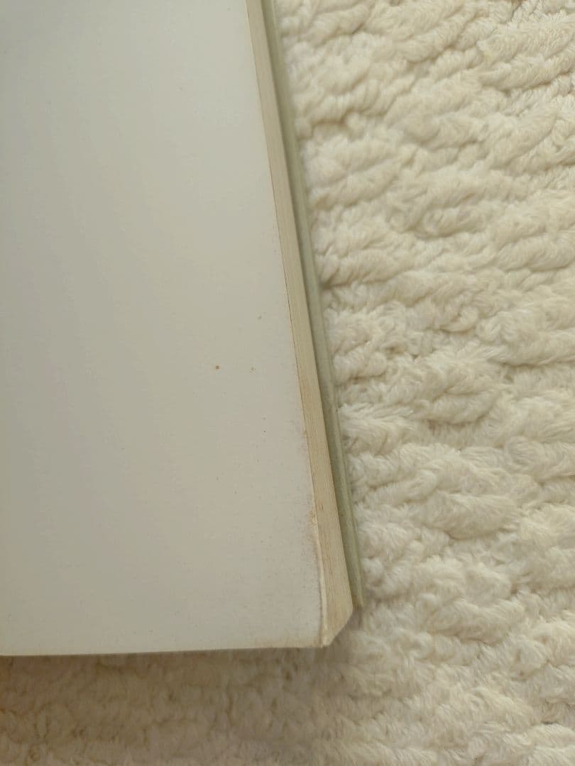 レイモンド・ペティボン Raymond Pettibon 英語版 ソフトカバー - メルカリ