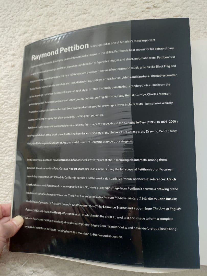 レイモンド・ペティボン Raymond Pettibon 英語版 ソフトカバー - メルカリ