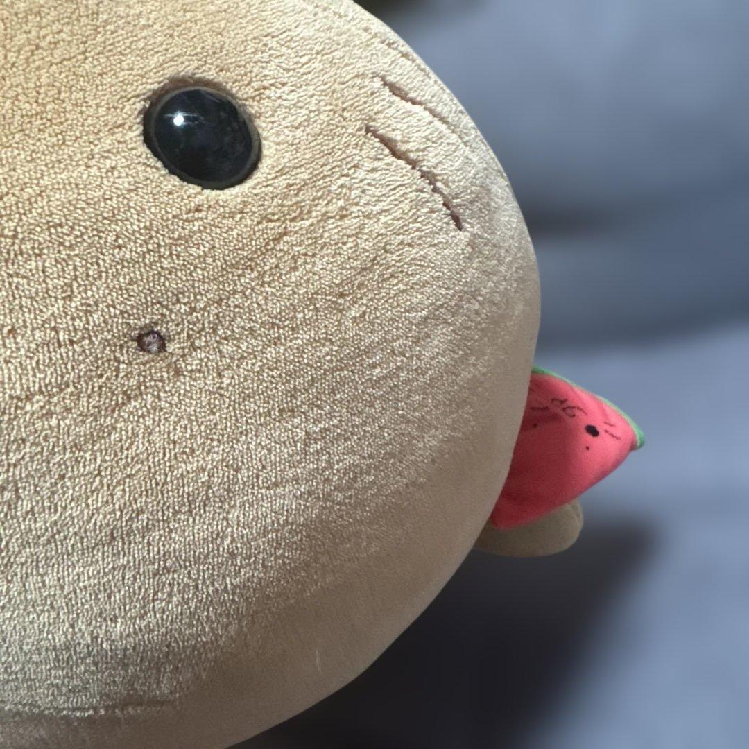 タグ付 小麦色にへんしん しろたんだきぐるみ♡日焼けぬいぐるみ