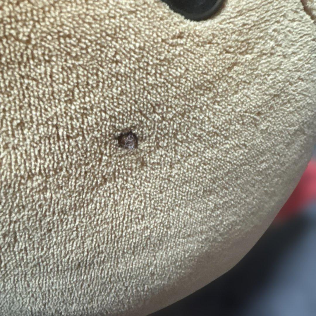 タグ付 小麦色にへんしん しろたんだきぐるみ♡日焼けぬいぐるみ