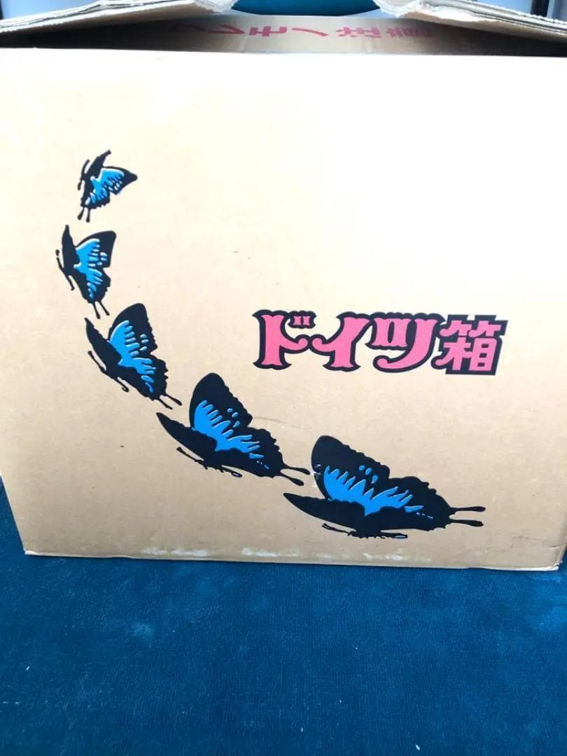 【ラスト1箱 チョウセンアカシジミ 115頭】蝶 標本 ドイツ箱 Tatsumi