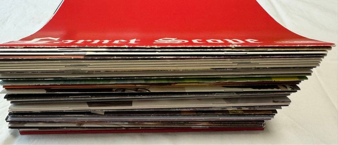 【全巻➕オマケ】GARNETCROWファンクラブ会報vol.1-44