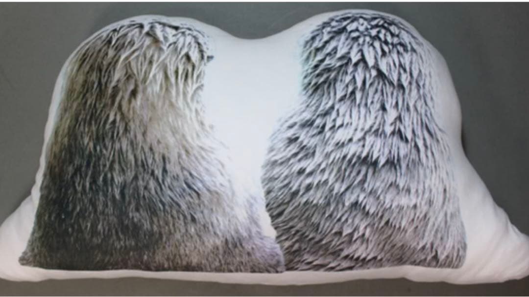 鳥羽水族館】ラッコのメイ☆キラクッション - メルカリ