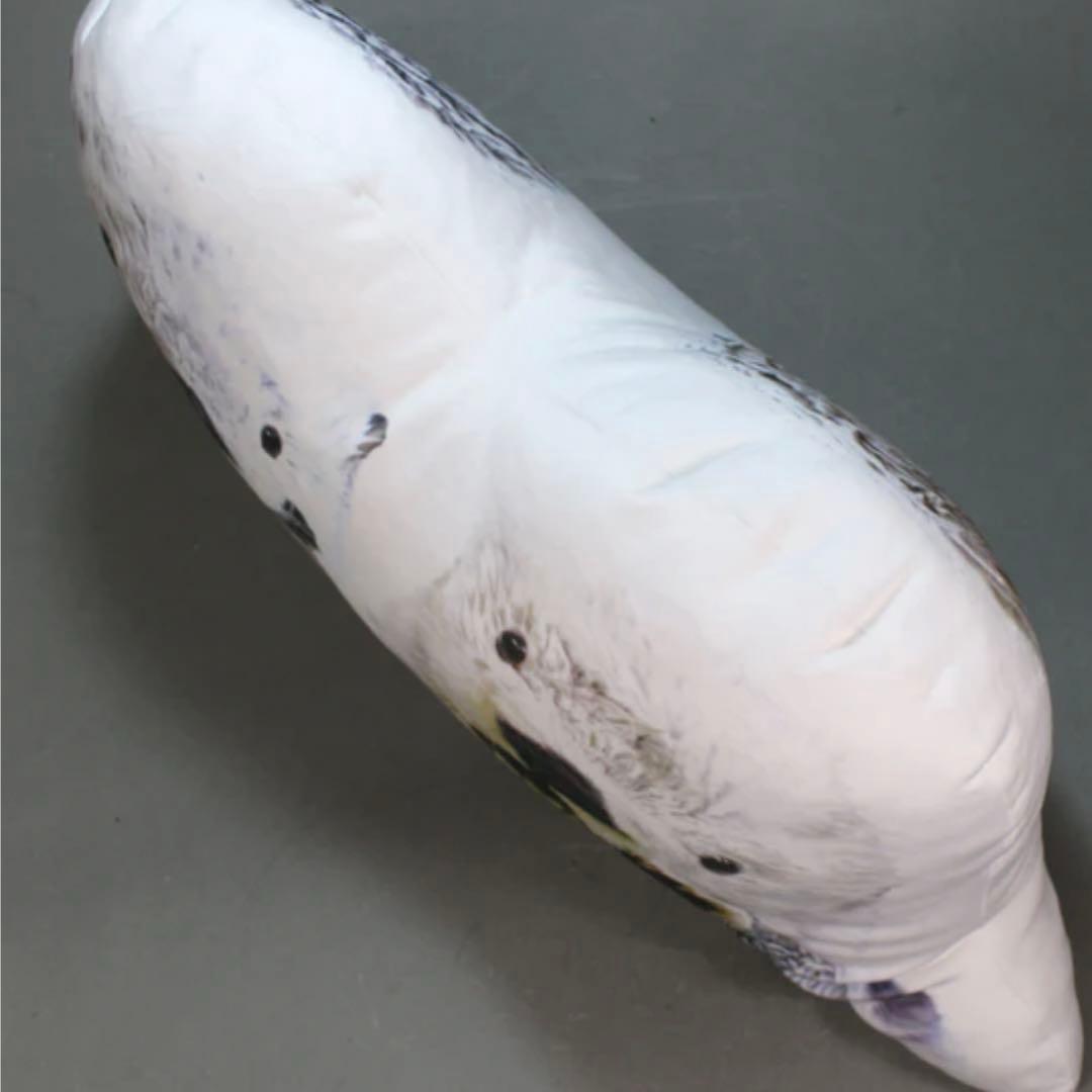 鳥羽水族館】ラッコのメイ☆キラクッション - メルカリ