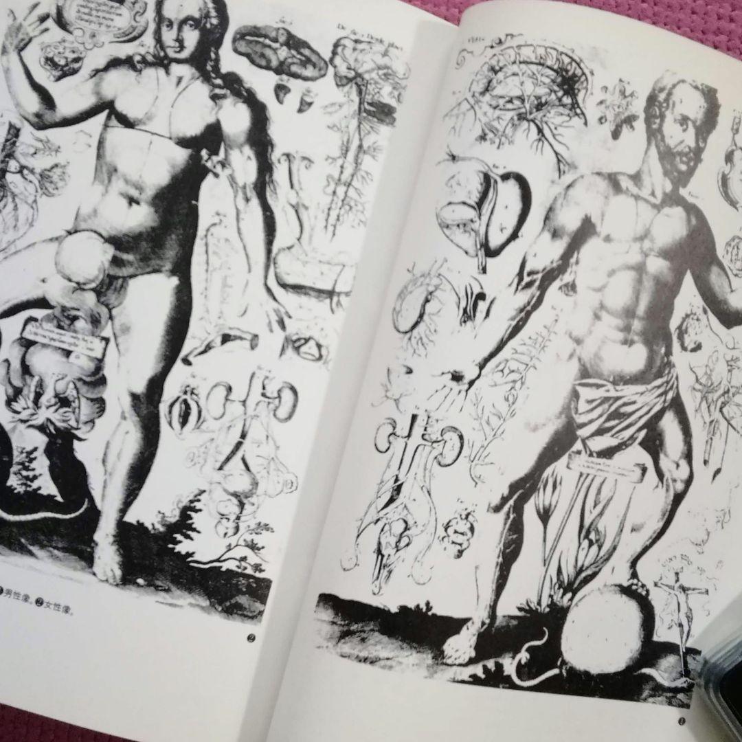 叢書メラヴィリア　初版　カステロフィリア　グロテスクの部屋　江戸の身体を開く