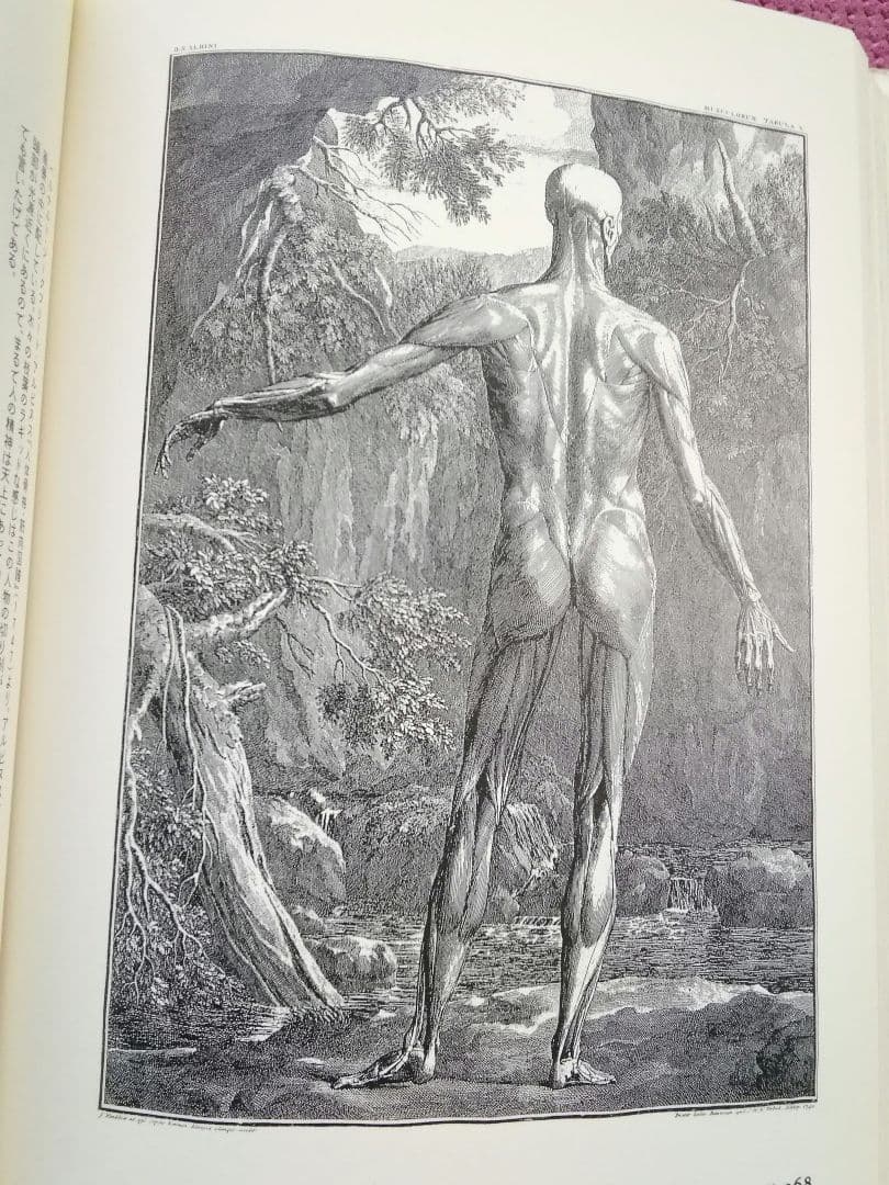 叢書メラヴィリア　初版　カステロフィリア　グロテスクの部屋　江戸の身体を開く